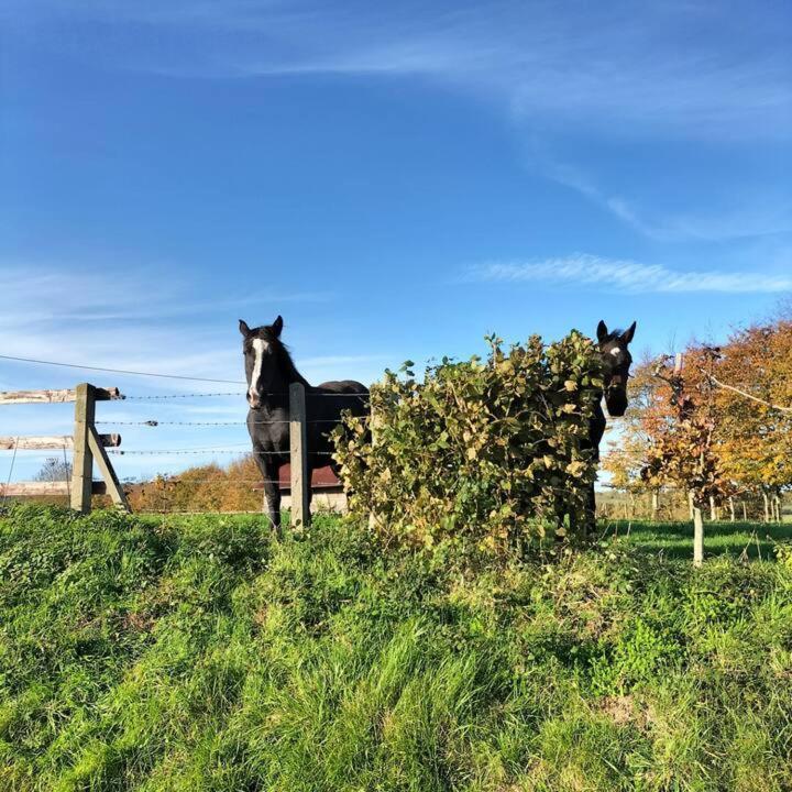 Le De La Poussiniere - Vue Panoramique 6p